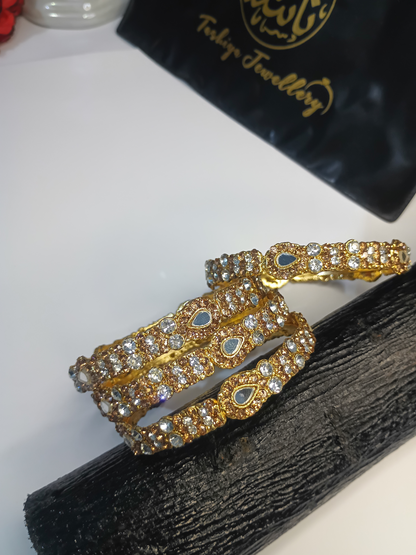 Article A113 SILSILA-E-HUSN